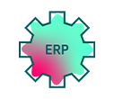 Bespoke ERP Development
